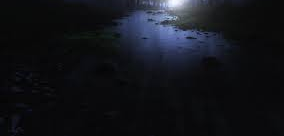 Forest Stream at Night